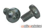 ISO 14583 4,8 цинк Винт с полукруглой головкой под torx(ЕС)